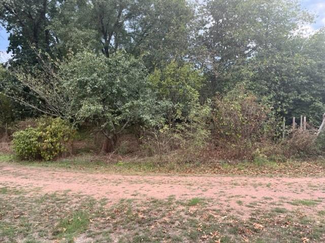TERRAIN CONSTRUCTIBLE MONNIERES 822M² TERRAIN CONSTRUCTIBLE MONNIERES 822M²